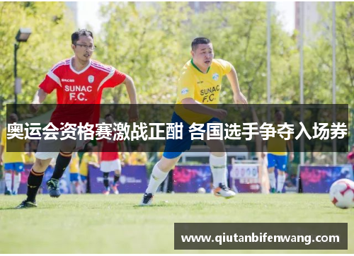 奥运会资格赛激战正酣 各国选手争夺入场券